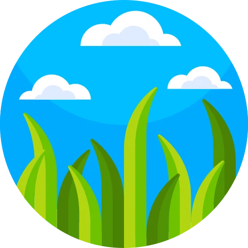 Illustration for TOEFL Integrated Writing Practice Test #003 - Cheatgrass