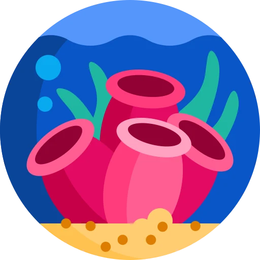 Illustration for TOEFL Integrated Writing Practice Test #004 - Coral Reefs