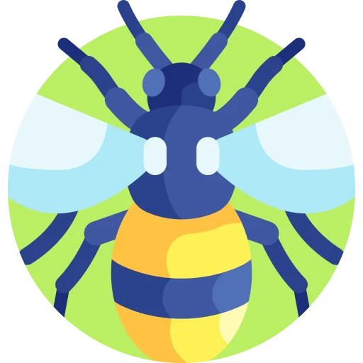 Illustration for TOEFL Integrated Writing Practice Test #021 - Bees