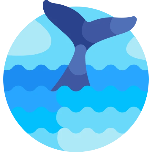 Illustration for TOEFL Integrated Writing Practice Test #010 - Whale Songs