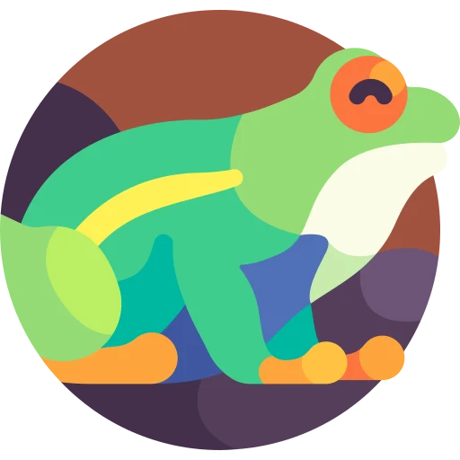 Illustration for TOEFL Integrated Writing Practice Test #018 - Frogs!