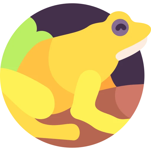 Illustration for TOEFL Integrated Writing Practice Test #005 - Golden Frog