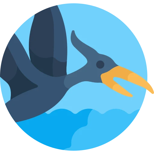 Illustration for TOEFL Integrated Writing Practice Test #019 - Pterosaurs