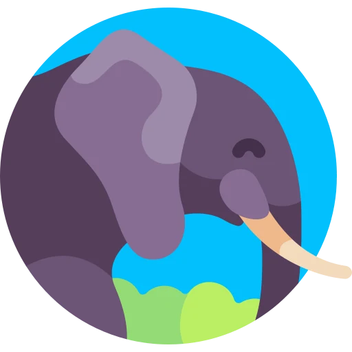 Illustration for TOEFL Integrated Writing Practice Test #015 - Elephants