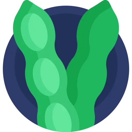 Illustration for TOEFL Academic Passage Practice #049 - Genetic Engineering in Modern Agriculture