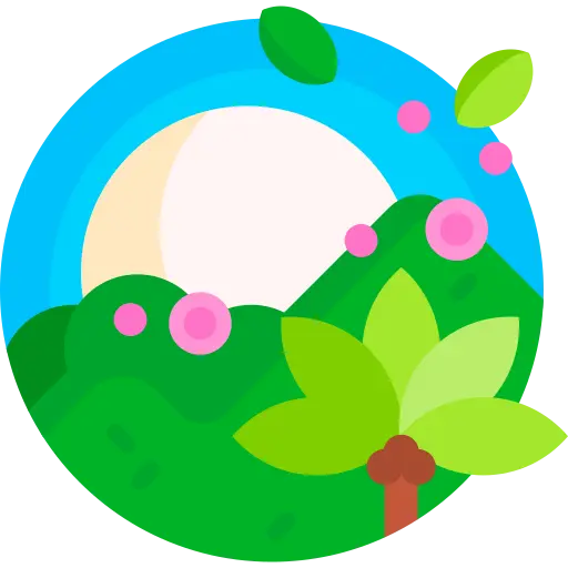 Illustration for TOEFL Academic Passage Practice #044 - Latitude and the Distribution of Biodiversity