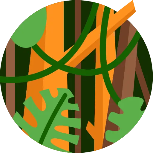 Illustration for TOEFL Academic Passage Practice #034 - Rainforest Soil