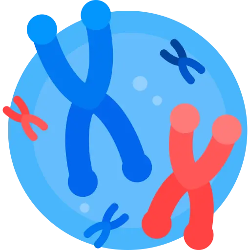 Illustration for TOEFL Academic Passage Practice #022 - The Debate over Spontaneous Generation