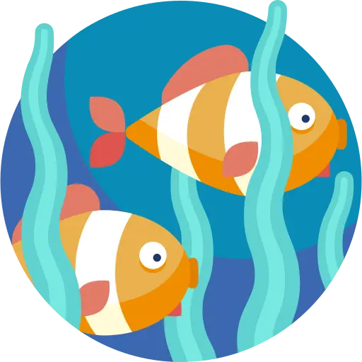 Illustration for TOEFL Academic Passage Practice #010 - The Hidden World of Ocean Depths