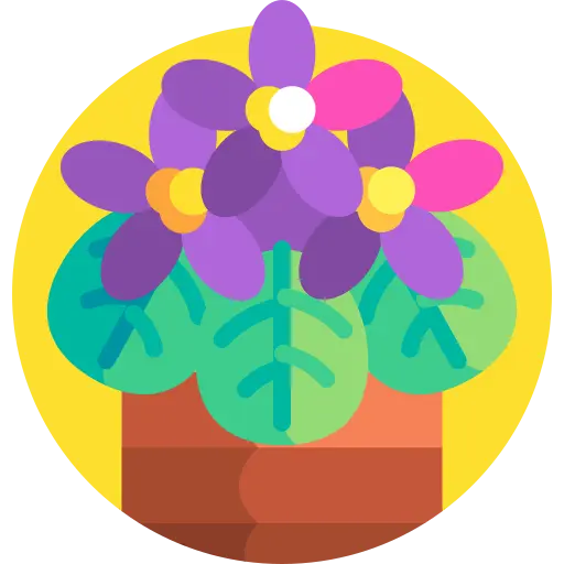 Illustration for TOEFL Academic Passage Practice #028 - The Mystery of Flowering Plant Evolution