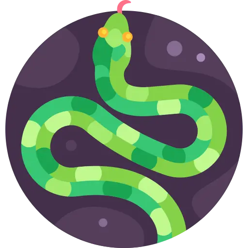 Illustration for TOEFL Academic Passage Practice #038 - The Purpose of Forked Tongues in Snakes