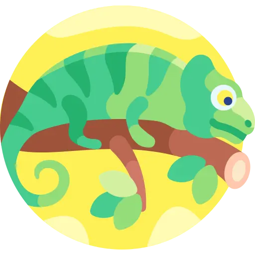 Illustration for TOEFL Academic Passage Practice #014 - The Role of Camouflage in Animal Survival
