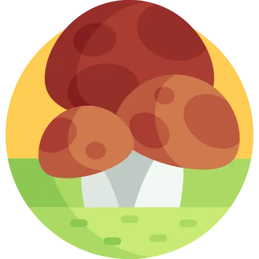 Illustration for TOEFL Academic Passage Practice #015 - The Role of Fungi in Ecosystems