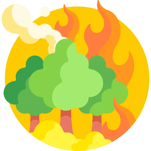 Illustration for TOEFL Academic Passage Practice #048 - Unstoppable Wildfires in the American West