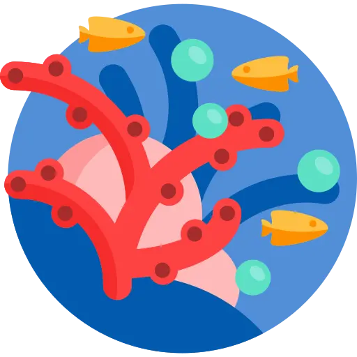 Illustration for TOEFL Speaking Task 3 Practice #004 - Science