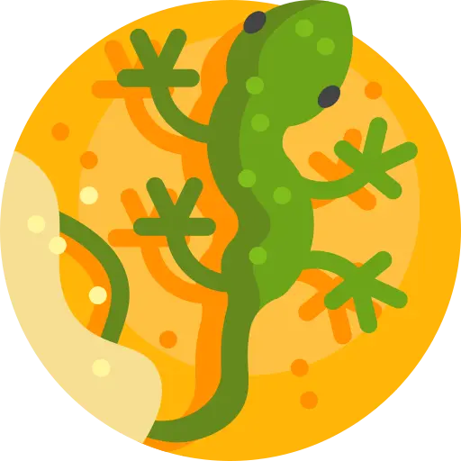 Illustration for TOEFL Speaking Task 4 Practice #028 - Science
