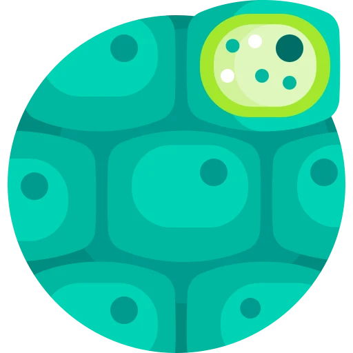 Illustration for TOEFL Academic Passage Practice #007 - Photosynthesis in Extreme Environments